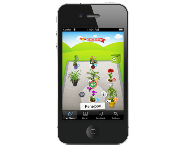 Koubachi Plant Sensor iPhone app